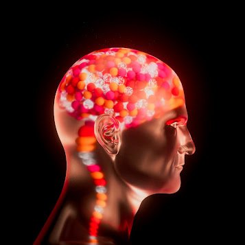 ¿Qué es la Inteligencia Emocional y por qué transforma tu vida?